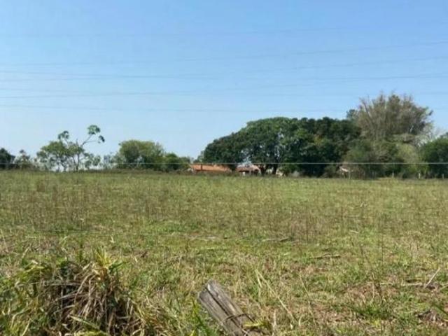 Sítio em Rodovia Raposo Tavares km 200 Boa Vista Angatuba/SP