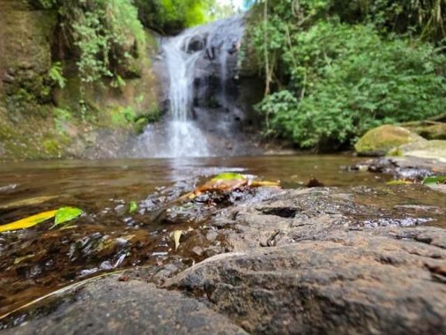Sítio em São Francisco de Paula/RS com rio e cachoeira – DE R$490MIL POR R$330MIL