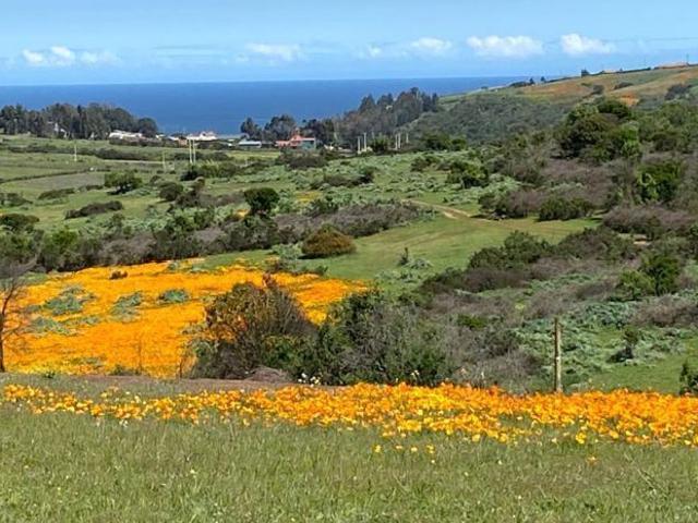 Sitio en Venta en Terreno 40 Ha. para proyecto inmobiliario desarrollo urbano de sitios de 1.000m2 / Con Con
