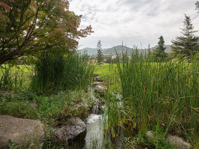 Sitio en Venta en Valle Escondido