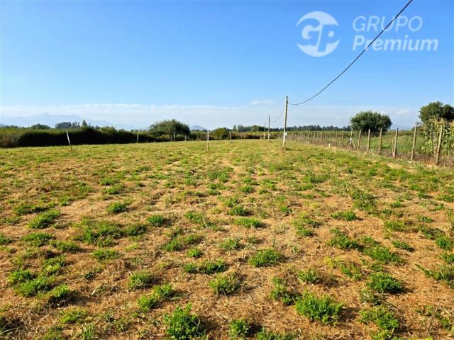 Sitio en Venta en A la venta Parcela urbanizada con pozo y manantial en Rengo