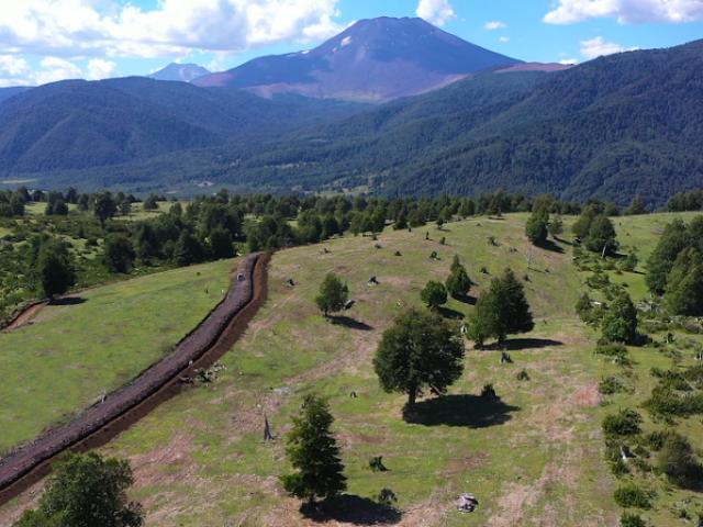 Sitio en Venta en Aldea Centinela Malalcahuello