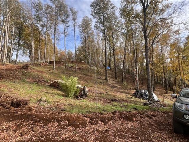 Sitio en Venta en Aliro Canario / Pje Arriagada