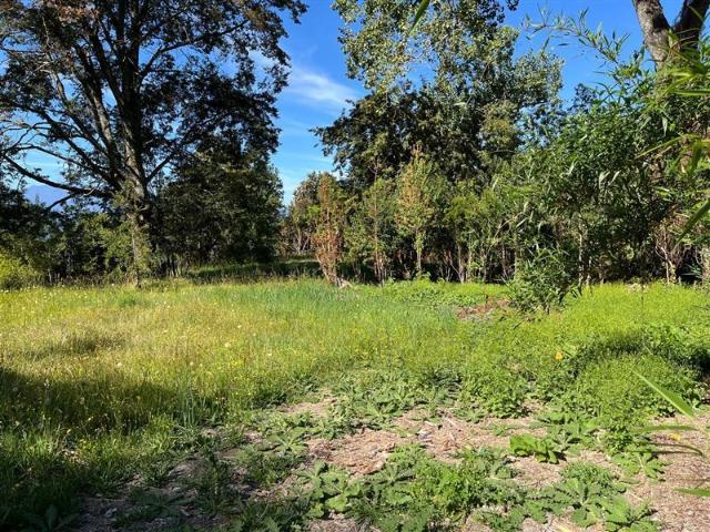 Sitio en Venta en Alto llihue