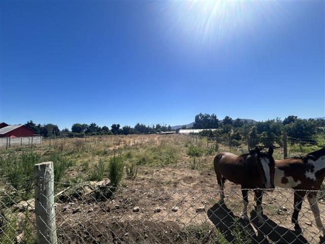 Sitio en Venta en B San Juan parcela 11