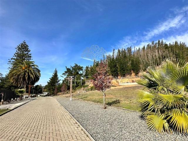 Sitio en Venta en Camino a Santa Juana Reserva de Mitrinhue