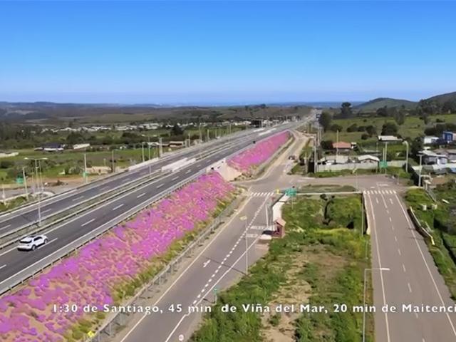 Sitio en Venta en CAMINO PUBLICO S/N. RUTA F 20