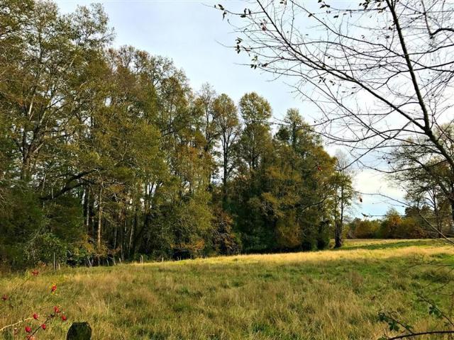 Sitio en Venta en Camino Villarrica Pucon