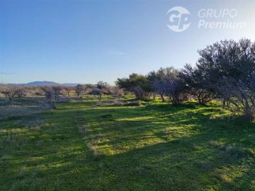 Sitio en Venta en CAPELLANIA M LT.B 31