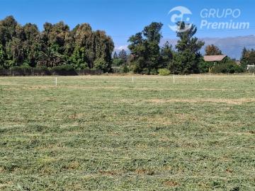 Sitio en Venta en Dario Pavez con Jorge Alessandri