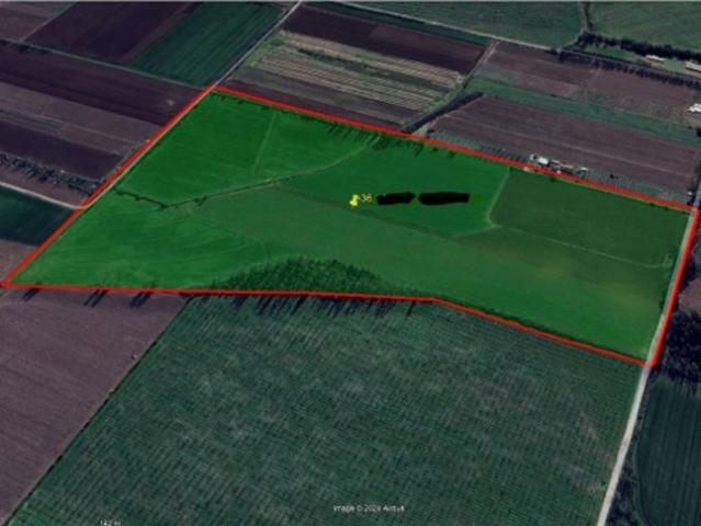 Sitio en Venta en Gran Oportunidad Se Vende Campo Agrícola 18 hec en el Sector el Retiro Talca