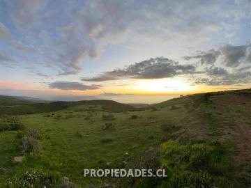 Huamalata, Provincia de Limarí, Región de Coquimbo