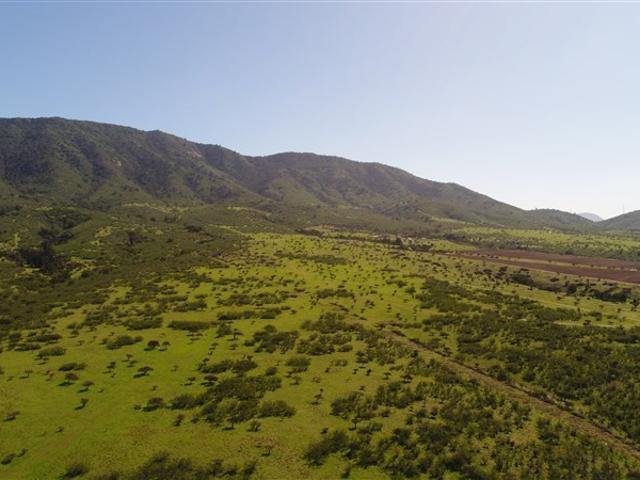 Sitio en Venta en Hacienda Catapilco
