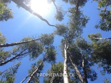 Sitio en Venta en La Puntilla de San Juan
