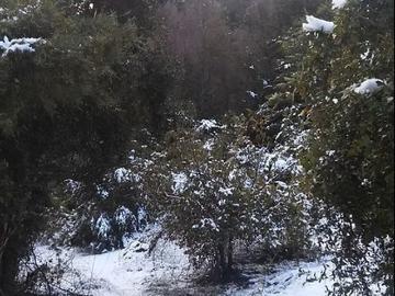 Sitio en Venta en La Puntilla de San Juan / Coihueco