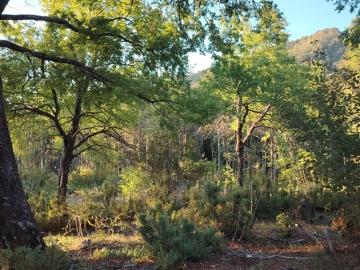 Sitio en Venta en La Puntilla de San Juan / Coihueco