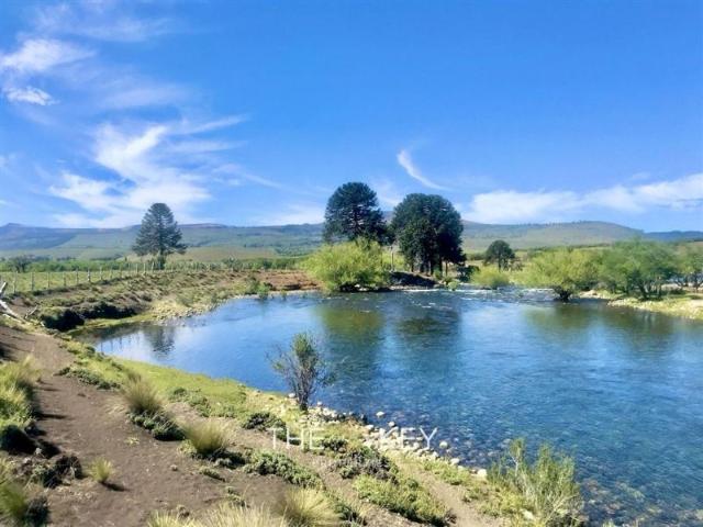 Sitio en Venta en Lago Galletué Nacimiento Río Bio Bio