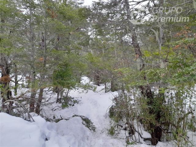 Sitio en Venta en Las Encinas, Las Trancas, Camino a Termas de Chillán