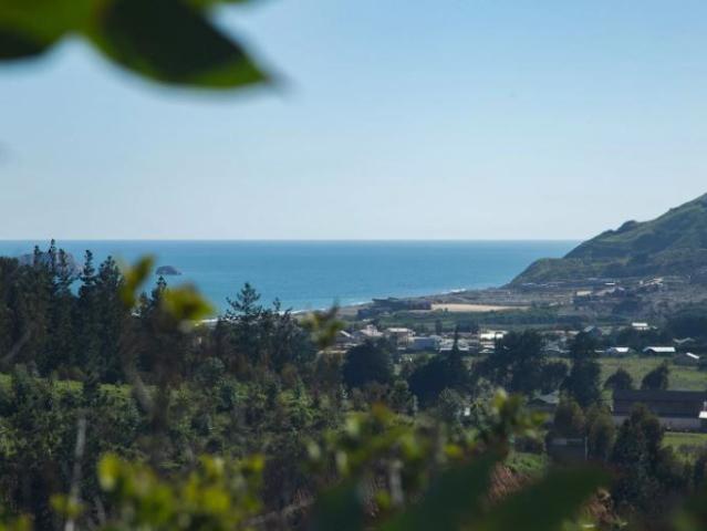 Sitio en Venta en Los Ruanos