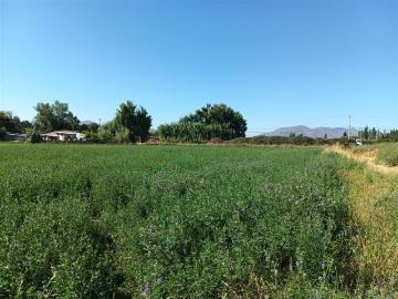 Sitio en Venta en Luis Cruz Martínez / Camino El Noviciado