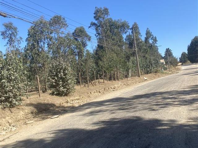 Sitio en Venta en Onceaba avenida con Tercera avenida