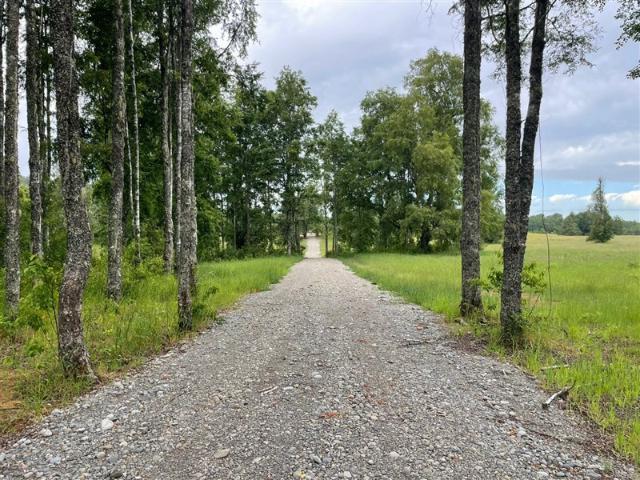 Sitio en Venta en Opciones entre Villarrica, Loncoche y Gorbea
