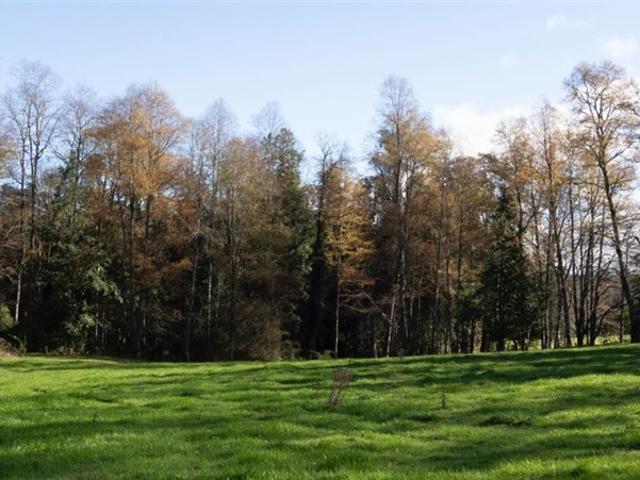 Sitio en Venta en Panguipulli