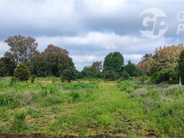 Sitio en Venta en Pemuco