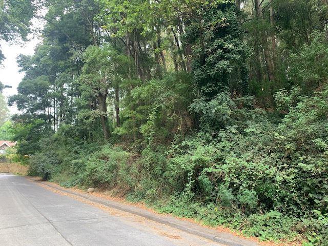 Sitio en Venta en Precioso sitio de 652 m en cerro La Virgen Concepción