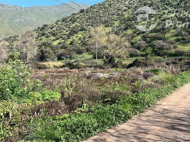 Sitio en Venta en Ruta G 555 antes de calle Gran Fortuna