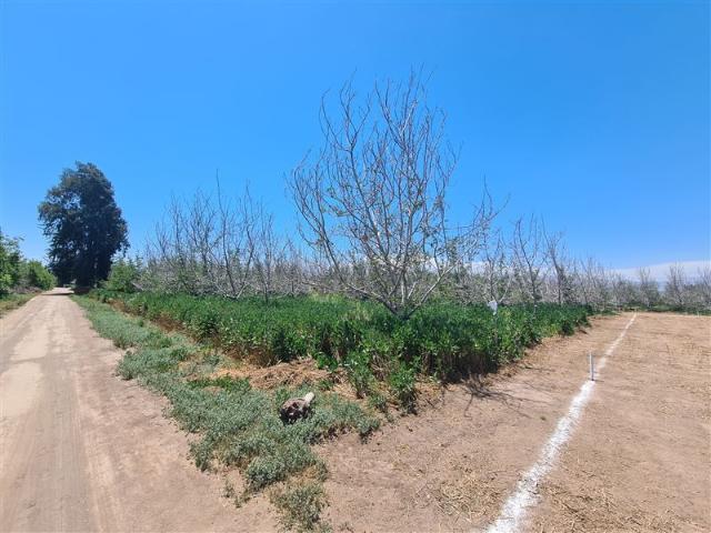 Sitio en Venta en Santa Cecilia / San Jose