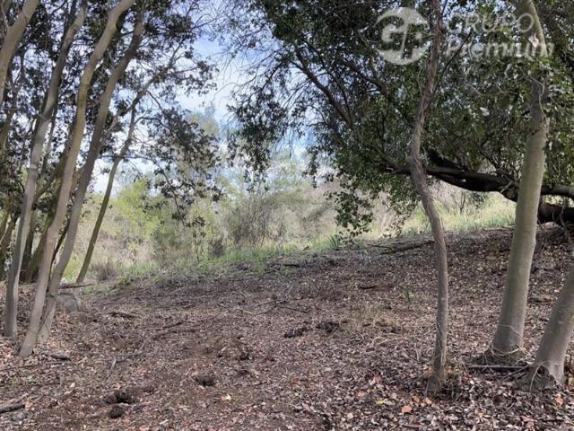 Sitio en Venta en Se vende sitio en Condominio Altos de Olmué