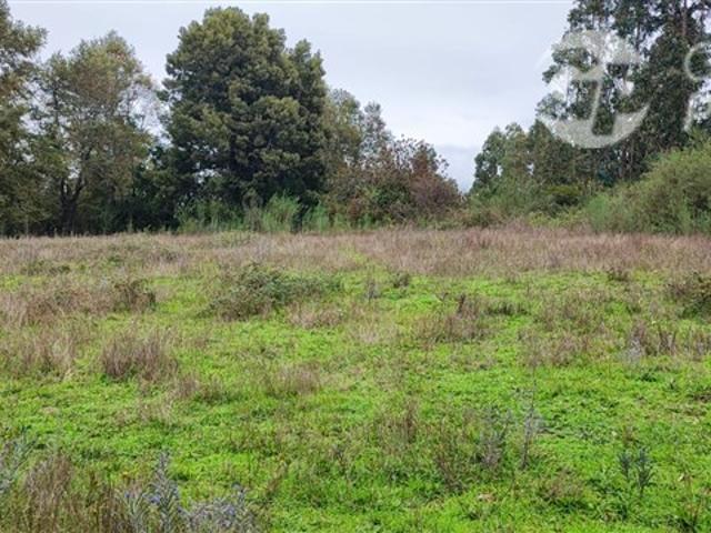 Sitio en Venta en Sector Los Patos, Ruta P 304, Arauco