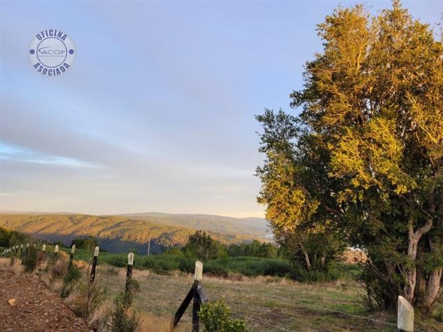 Sitio en Arriendo