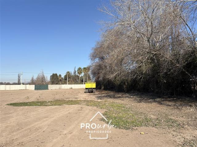 Sitio en Arriendo