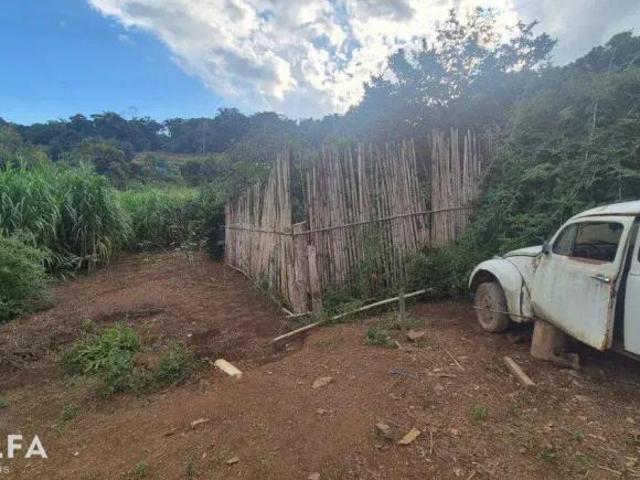 Sítio Encantador com Pomar, Solo Fértil e Construção Rústica em Antônio Carlo