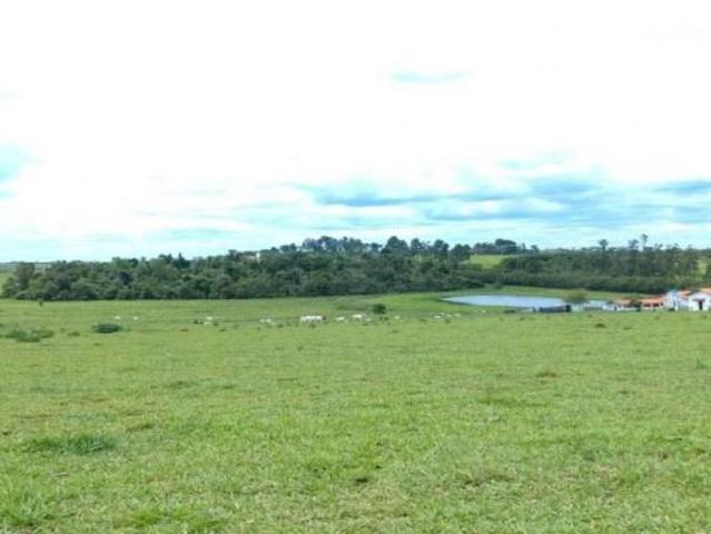 SÍTIO EXCELENTE TOPOGRAFIA FRENTE PARA RODOVIA POR R$ 18.000.000 CESÁRIO LANGE/SP