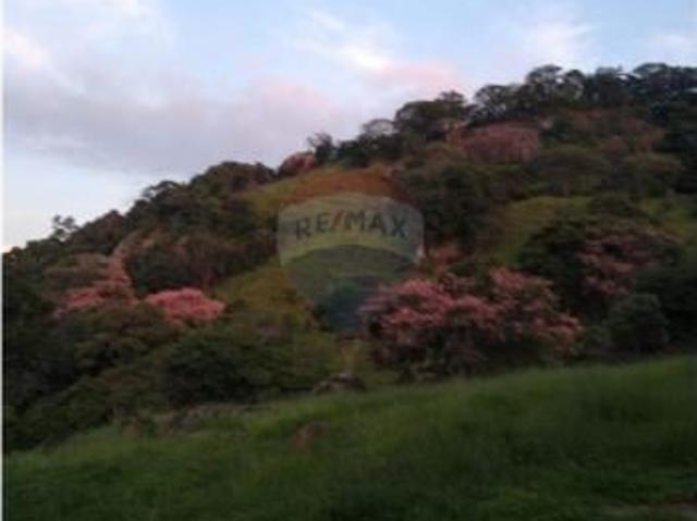 Sítio exuberante com 26 hectares à venda por R$ 999.000,00 Bueno Brandão/MG