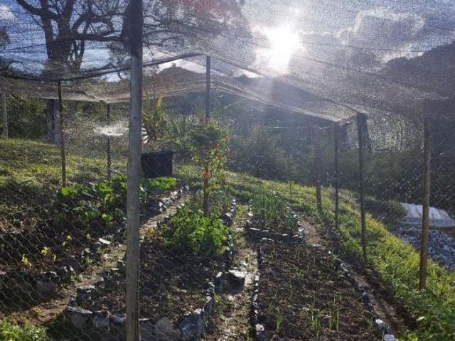Sítio Exuberante em Itamonte MG 30.000m2
