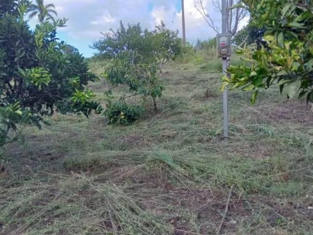 Sitio, Faxinal Queimado, Sentinela do Sul, RS
