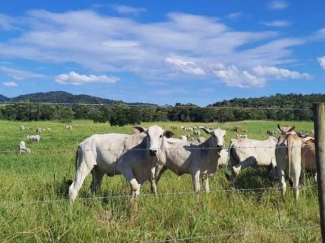 SÍTIO FAZENDA CASA ALTO PADRÃO ESTRUTURA COMPLETA PARA PECUÁRIA E PRODUÇÃO