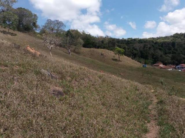 Sítio, Floresta, Lambari, MG