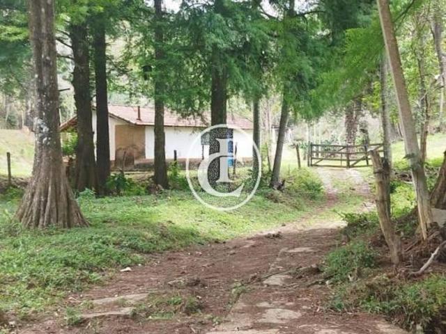 Sítio Histórico Á Venda em Paraibuna/SP