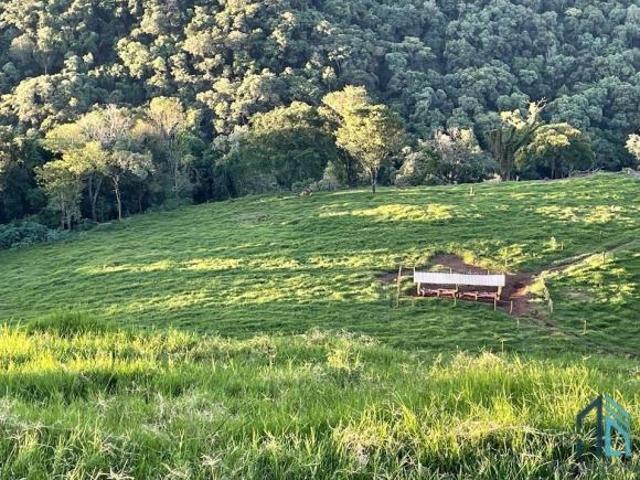 Sítio lindo a venda em ótima localização linha União da Serra em Guaraniaçu PR