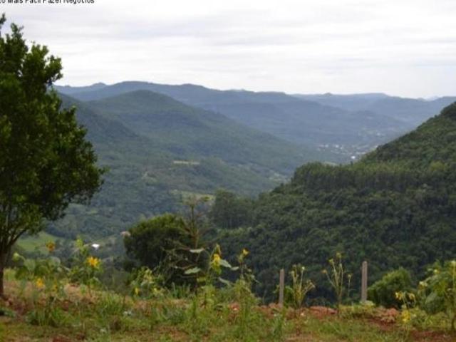Sitio, Linha Olinda, Nova Petrópolis, RS