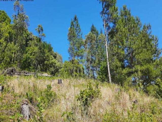 Sitio, Linha Pirajá Baixa, Nova Petrópolis, RS