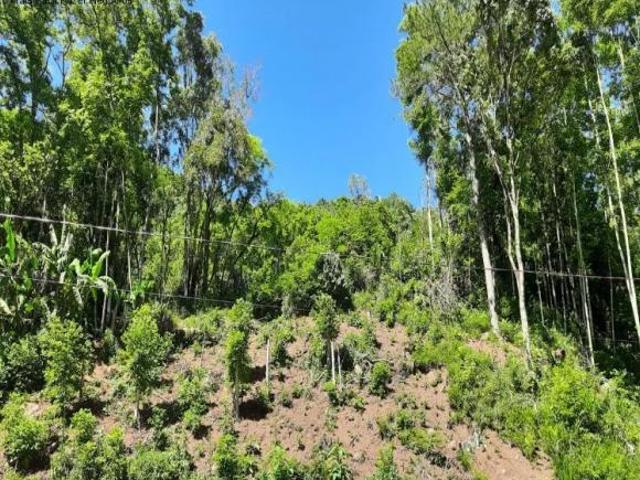 Sitio, Linha Pirajá Baixa, Nova Petrópolis, RS