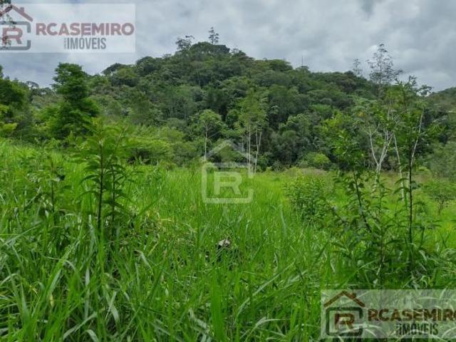 Sítio localizado em Juquiá SP, com 25 alqueires totais