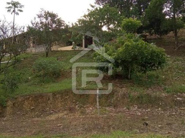 Sítio localizado em Sete Barras, com 5 alqueires totais sendo 3,5 alqueires em pasto