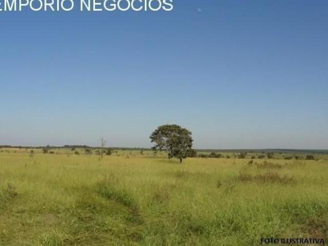 Sítio Mococa
